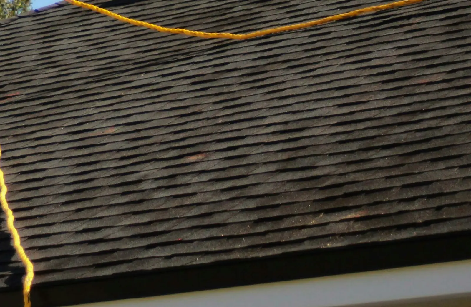 Close-up of asphalt shingles checked for hail bruising and granule loss